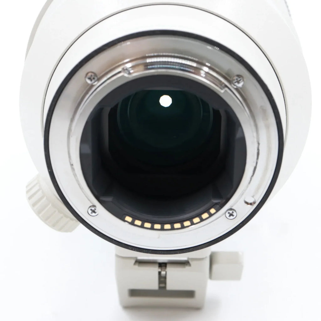 Sony FE 100-400mm F/4.5-5.6 GM OSS gebraucht
