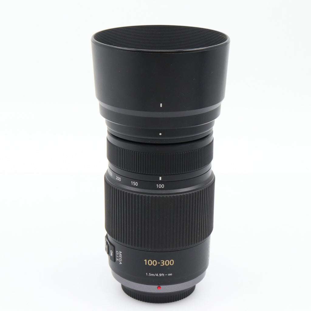 Panasonic Lumix G Vario 100-300mm f/4-5.6 Mega OIS used