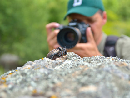 Macro photography lenses