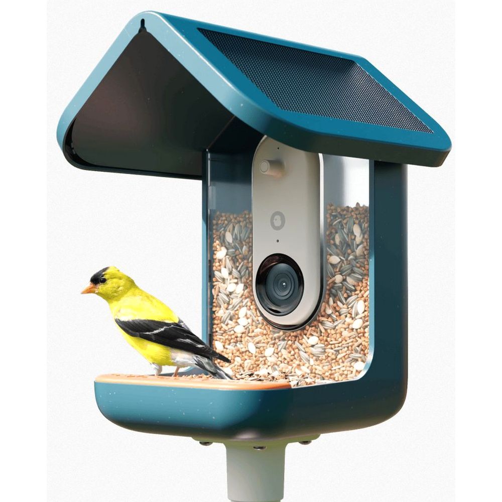 Bird Buddy 2.0 Smart Bird Feeder mit Solarpanel