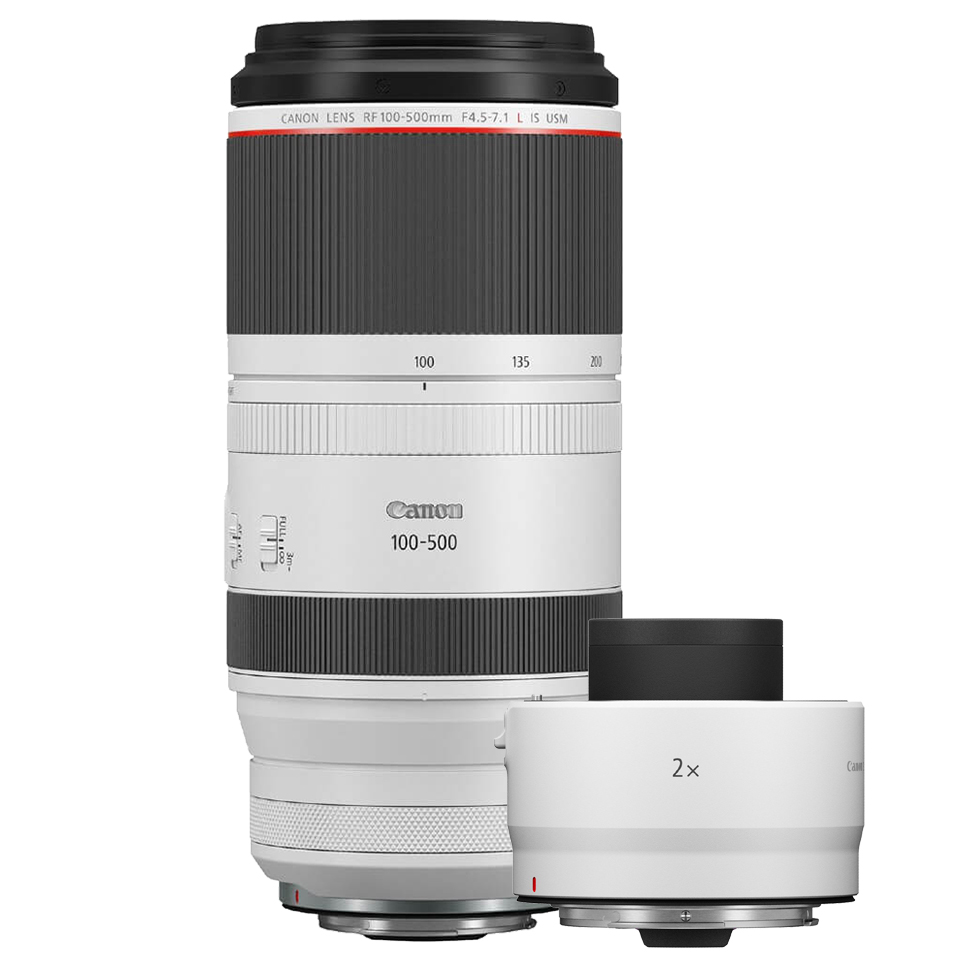 Canon RF 100-500mm F/4.5-7.1L IS USM + Extender RF 2.0x