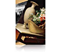 Epson S042078 Premium Luster Photo Paper 30cmx305m 260g