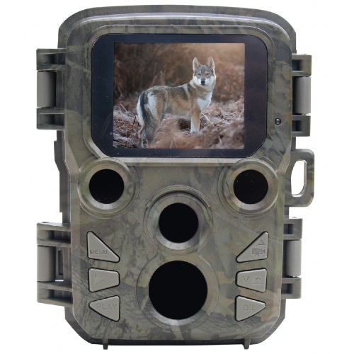 Braun Scouting Cam Black800 Mini Outdoor-Cam