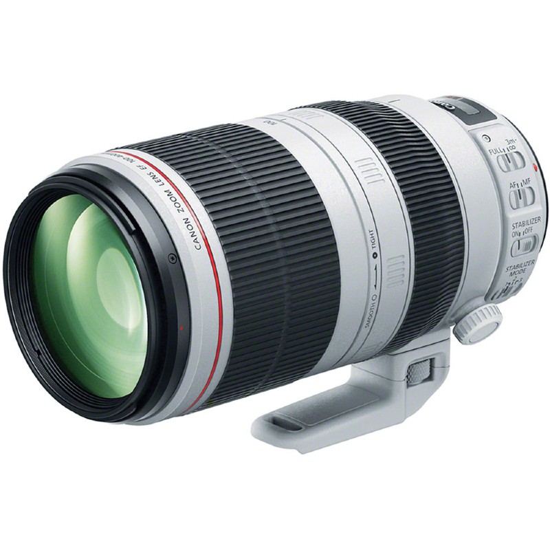 Canon EF 100–400 mm II ƒ/4,5–5,6 L iS USM (Drehzoom) + ET-83D Sonnenblende