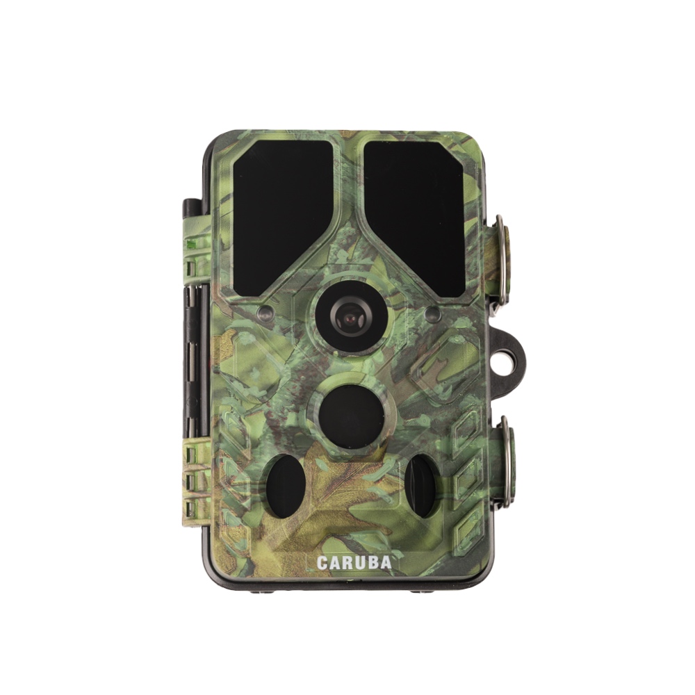 Caruba Wildlife Kamera Kröte Full HD
