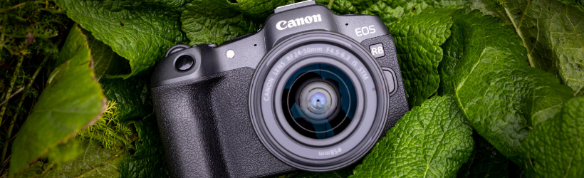 Canon EOS R8