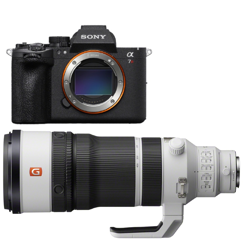 Sony Alpha 7R VI + FE 100-400mm F/4.5 GM OSS