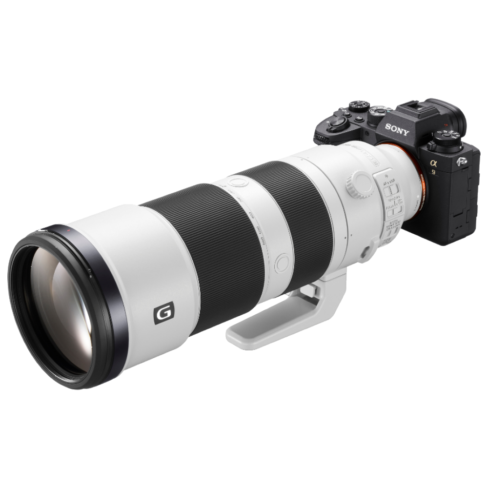 Sony Alpha 9 Mark II + FE 200-600mm F/5.6-6.3 G OSS