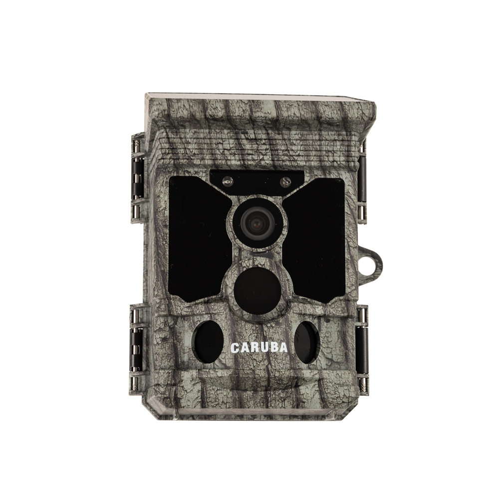 Caruba Wildlife Camera Raccoon Solar 4K