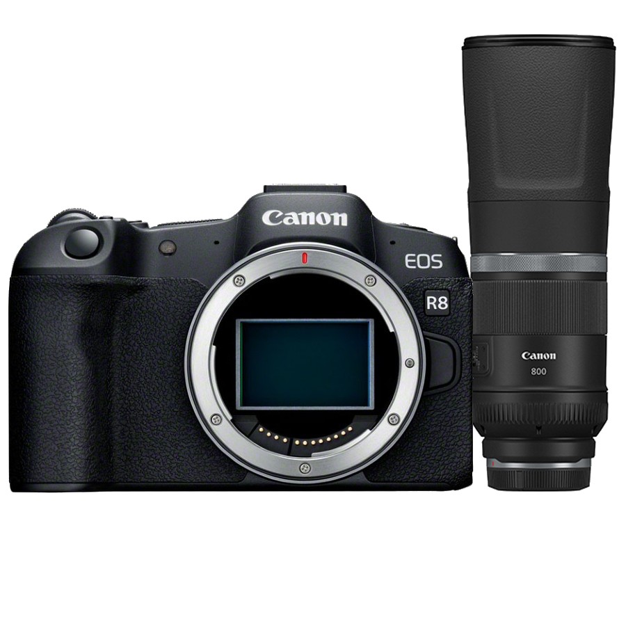 Canon EOS R8 body + RF 800mm F/11.0 IS STM