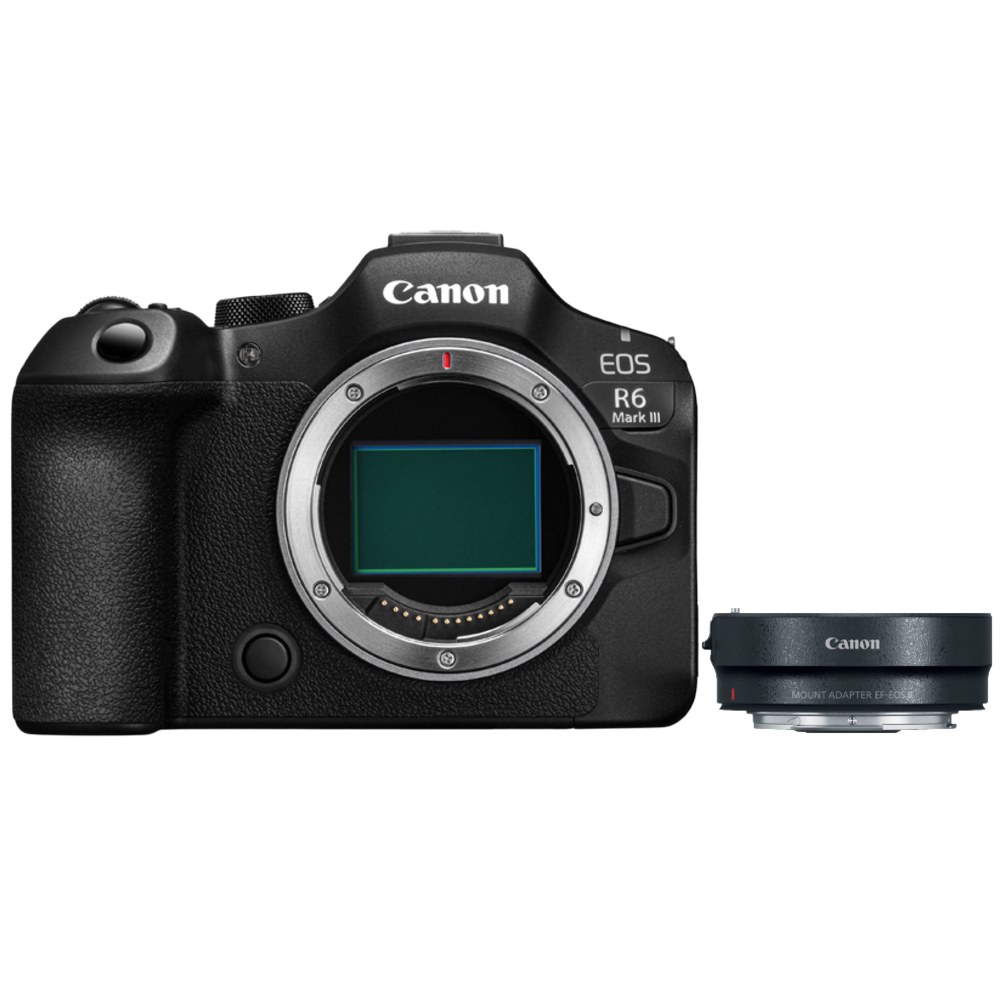 Canon EOS R6 Mark III + EF - RF Mount Adapter