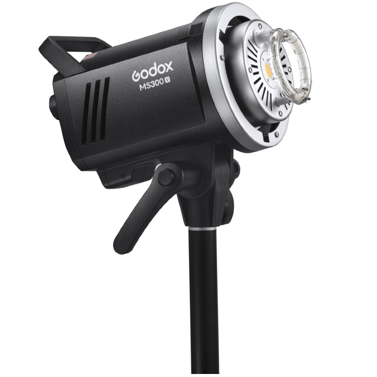 Godox MS300V
