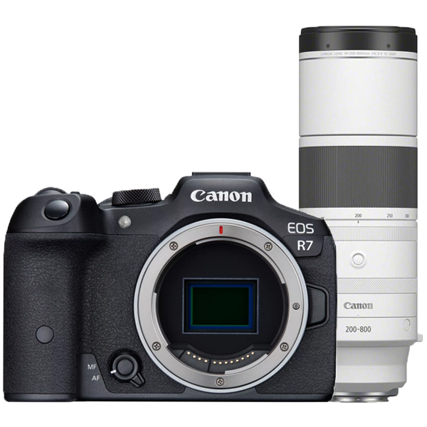 Canon EOS R7 + RF 200-800mm F/6.3-9 IS USM