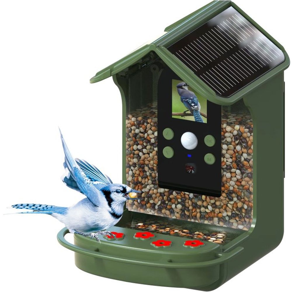 Braun Bird Cam 130 Solar