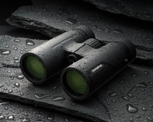olympus-jumelles