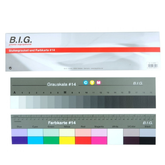 BIG Carte grise et carte de couleur 36cm #14