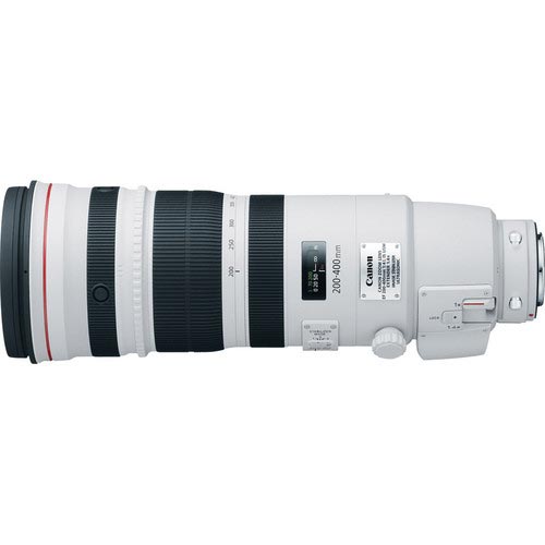 Canon EF 200-400 mm F/4.0 L iS USM Extender 1.4x