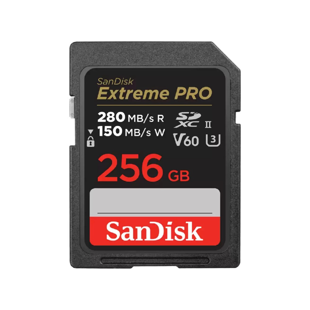 Carte SD SanDisk Pro 256GB V60 UHS-II 280/100MB/s