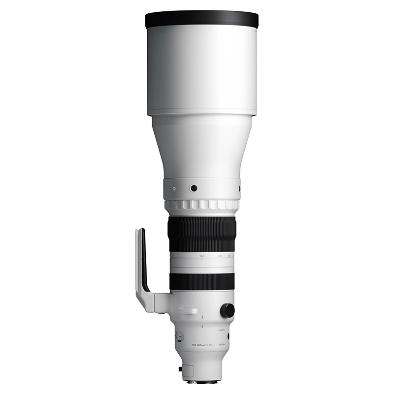 SIGMA 300-600mm F/4 DG OS Sports Monture Sony E