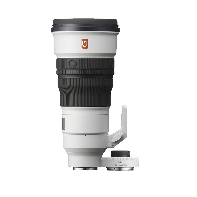 Sony FE 300mm F/2.8 GM OSS + FE 1.4x Teleconverter