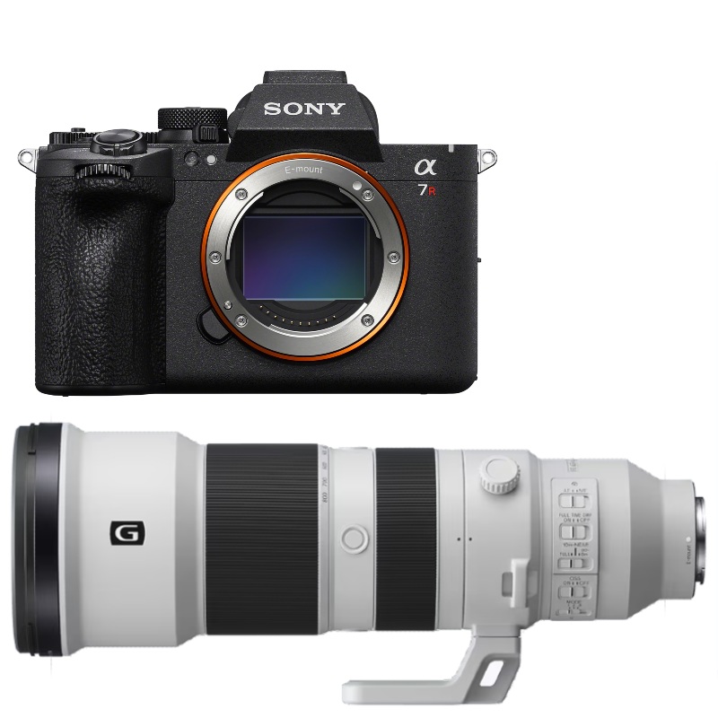 Sony A7R VI + 400-800mm F/6.3-8 G OSS