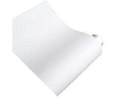 Fond en vinyle mat Bresser rouleau 2 x 6 m blanc